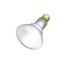 65 Watt BR30 Incandescent Bulb - Frost - 2000 Average rated hours - 620 Lumens - Medium base - 130 Volt - 2/Pack