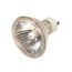 75 Watt Halogen Bulb MR20 - 2000 Average rated hours - 800 Lumens - GU10 base - 120 Volt (3 Pack)