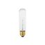 25 Watt T10 Incandescent Bulb - Clear - 2000 Average rated hours - 200 Lumens - Medium base - 120 Volt (30 Pack)