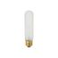 25 Watt T10 Incandescent Bulb - Frost - 2000 Average rated hours - 200 Lumens - Medium base - 120 Volt (30 Pack)