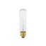 40 Watt T10 Incandescent Bulb - Clear - 2000 Average rated hours - 280 Lumens - Medium base - 120 Volt (30 Pack)
