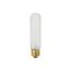 40 Watt T10 Incandescent Bulb - Frost - 2000 Average rated hours - 280 Lumens - Medium base - 120 Volt (30 Pack)