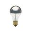 100 Watt A19 Incandescent Bulb - Silver Crown - 1500 Average rated hours - 960 Lumens - Medium base - 130 Volt (10 Pack)
