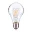 8 Watt A19 LED Bulb - Clear Finish - Medium base - 2700K - 120 Volt (6 Pack)