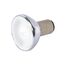 20 Watt Halogen Bulb ALR12 - GBF - Frosted - 1000 Average rated hours - DC Bay base - 12 Volt (3 Pack)