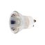 35 Watt Halogen Bulb MR11 - FTH - 1000 Average rated hours - 250 Lumens - Sub Miniature 2 Pin GU10 base - 120 Volt (6 Pack)