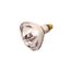 125 Watt R40 Incandescent Bulb - Clear Heat - 6000 Average rated hours - Medium base - 120 Volt (10 Pack)