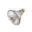 70 Watt - Metal Halide HID - Medium base - PAR38 Bulb - Clear - 92 CRI - 4000K (1 Pack)