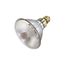 100 Watt - Metal Halide HID - Medium base - PAR38 Bulb - Clear - 93 CRI - 4000K (1 Pack)