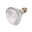 70 Watt - Metal Halide HID - Medium base - PAR30 Bulb - Clear - 83 CRI - 3000K (1 Pack)