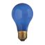 60 Watt A19 Incandescent Bulb - Ceramic Blue - 2000 Average rated hours - Medium base - 130 Volt (24 Pack)