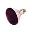 250 Watt R40 Incandescent Bulb - Red Heat - 6000 Average rated hours - Medium base - 120 Volt (12 Pack)