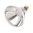 250 Watt R40 Incandescent Bulb - Clear Heat - 6000 Average rated hours - Medium base - 120 Volt (10 Pack)