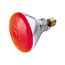 100 Watt BR38 Incandescent Bulb - Red - 2000 Average rated hours - Medium base - 230 Volt (5 Pack)