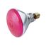 100 Watt BR38 Incandescent Bulb - Pink - 2000 Average rated hours - Medium base - 230 Volt (5 Pack)