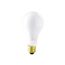 75 Watt A21 Incandescent Bulb - Frost - 1500 Average rated hours - 720 Lumens - Medium base - Marine Use - 12 Volt (15 Pack)