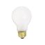 25 Watt A19 Incandescent Bulb - Frost - 1500 Average rated hours - 250 Lumens - Medium base - 34 Volt (24 Pack)