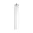 39 Watt - T12 - Shatter Proof Fluorescent Bulb 4200K Cool White - 62 CRI - Medium Bi Pin base (2 Pack)