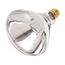 375 Watt BR40 Incandescent Bulb - Clear Heat - 5000 Average rated hours - Medium base - 120 Volt - Shatter Proof (2 Pack)