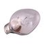 15 Watt C7 Night Light & Holiday Lamp - Candelabra Base - 120 Volt (10 Pack)