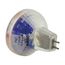 300 Watt Halogen Bulb MR13 - Open Lens - GX5.3.5 base - 82 Volt (2 Pack)