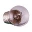 8 Watt Miniature Lamp - Miniature Screw Base - 12 Volt (8 Pack)