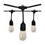 24FT LED String Light Includes 12-Light Filament LED bulbs w/ Plug (Pack of 3)