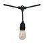 24FT LED String Light Includes 12-Light Filament LED bulbs w/ Plug (Pack of 3)