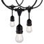 24Ft LED String Light Includes 12-S14 bulbs 2200K 120 Volts