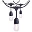 60Ft Commercial LED String Light Includes 24-S14 bulbs 2200K 120 Volts, S8032R1