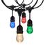 48Ft LED String Light 15-S14 lamps 12 Volts RGBW w/ Infrared Remote