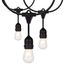 24Ft Incandescent String Light Includes 12-S14 bulbs 120 Volts