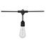 24Ft LED String Light 12 Vintage ST19 bulbs Included 120 Volts