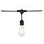 24Ft LED String Light 12 Vintage ST19 bulbs Included 120 Volts