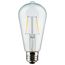 24Ft LED String Light 12 Vintage ST19 bulbs Included 120 Volts