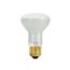 45 Watt R20 Incandescent Bulb - Frost - 5000 Average rated hours - 280 Lumens - Medium base - 130 Volt (20 Pack)