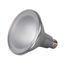 15 Watt PAR38 LED Bulb - 5000K - 40 deg. Beam Angle - Medium base - 120 Volt