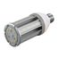 10 Watt LED HID Replacement Bulb - 5000K - Medium base - 12-24V DC Only (1 Pack)
