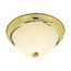 2 Light 11" Flush w/ Frosted Ribbed Polished Brass Finish