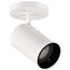 1 Light R20 Straight Cylinder White Finish