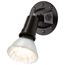 1 Light 5" Flood Light Exterior PAR38 w/ Adjustable Swivel Bronze Finish (Pack of 2)