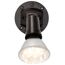 1 Light 5" Flood Light Exterior PAR38 w/ Adjustable Swivel Bronze Finish (Pack of 2)