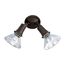 2 Light 10" Flood Light Exterior PAR38 w/ Adjustable Swivel Bronze Finish