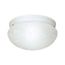 2 Light 12" Flush Mount Large Alabaster Mushroom Textured White Finish (Pack of 2)
