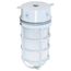 1 Light 10" Industrial Style Surface Mount w/ Frosted Glass White Finish