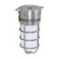 1 Light 10" Industrial Style Surface Mount w/ Frosted Glass Metallic Silver Finish