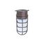 1 Light 10" Industrial Style Surface Mount w/ Frosted Glass Old Bronze Finish