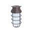 1 Light 11" Industrial Style Surface Mount w/ Frosted Glass Old Bronze Finish