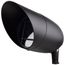 1 Light Landscape Flood PAR38 Flood -Dark Bronze Finish
