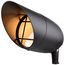1 Light Landscape Flood PAR38 Flood -Dark Bronze Finish